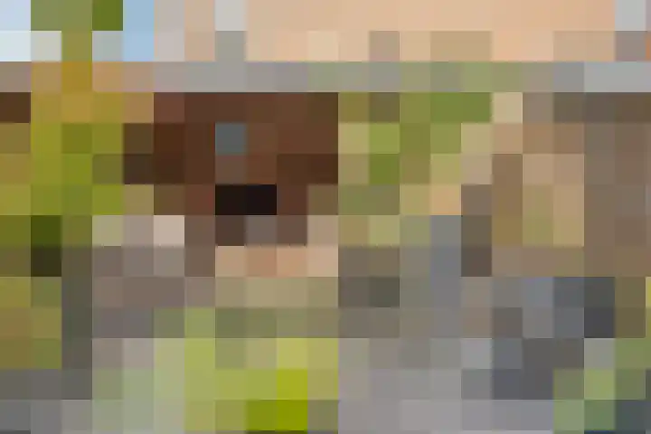 Mettingenlaan 50 Raalte thumbnail 23