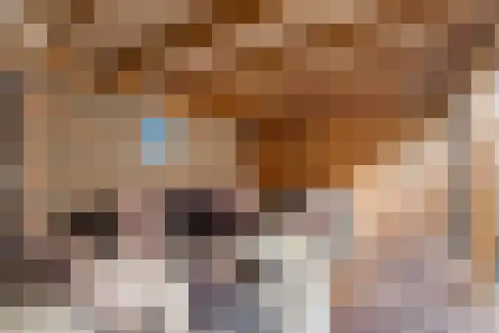 Mettingenlaan 50 Raalte thumbnail 24