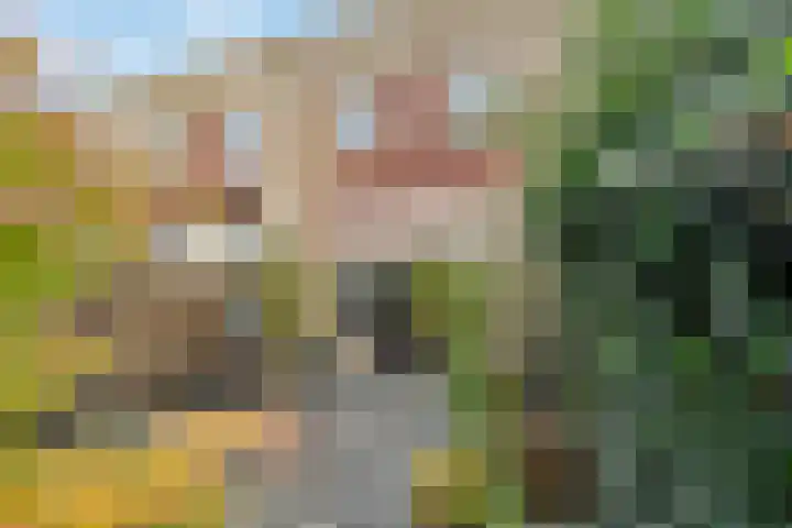 Mettingenlaan 50 Raalte thumbnail 25