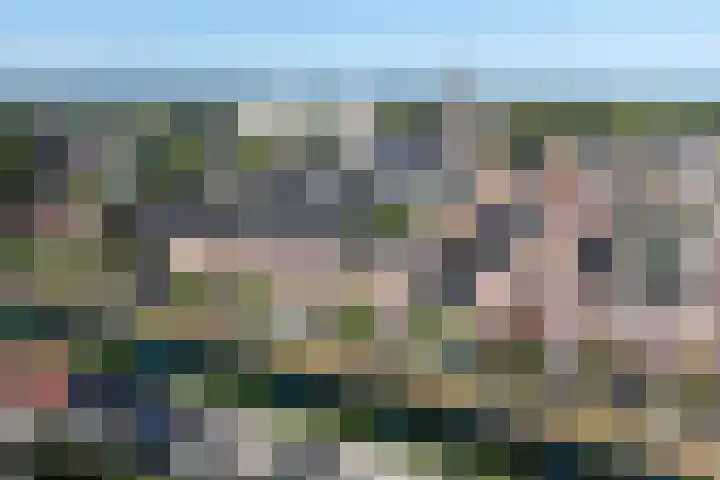 Mettingenlaan 50 Raalte thumbnail 26