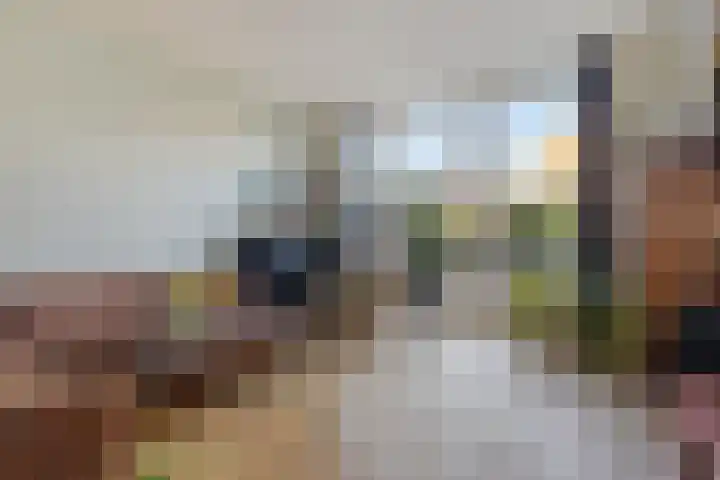 Mettingenlaan 50 Raalte thumbnail 4