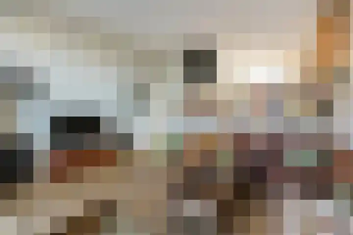Mettingenlaan 50 Raalte thumbnail 6