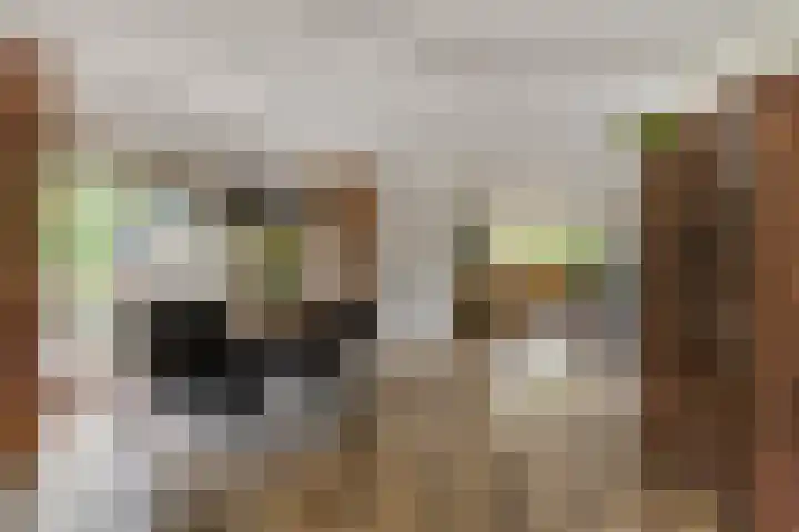 Mettrayweg 12 Zutphen thumbnail 10