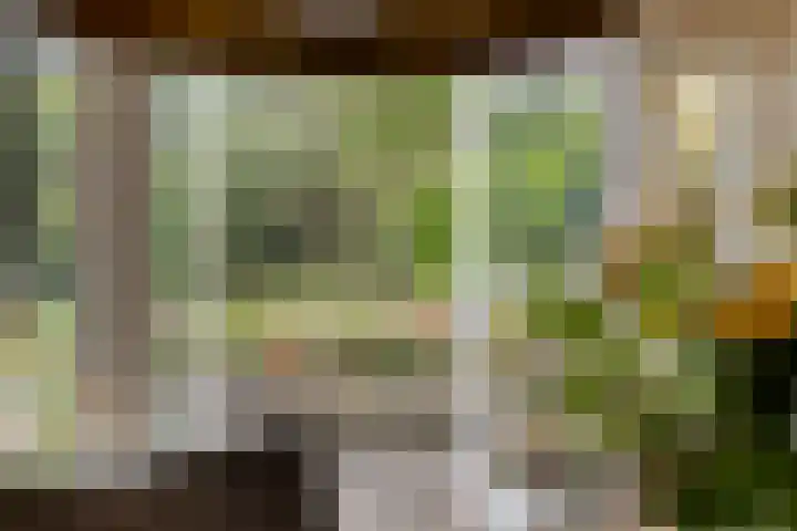 Mettrayweg 12 Zutphen thumbnail 12