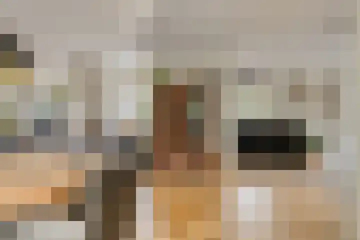 Mettrayweg 12 Zutphen thumbnail 14