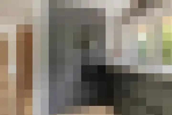 Mettrayweg 12 Zutphen thumbnail 16