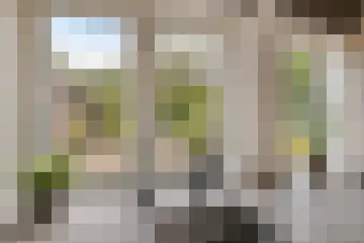 Mettrayweg 12 Zutphen thumbnail 17