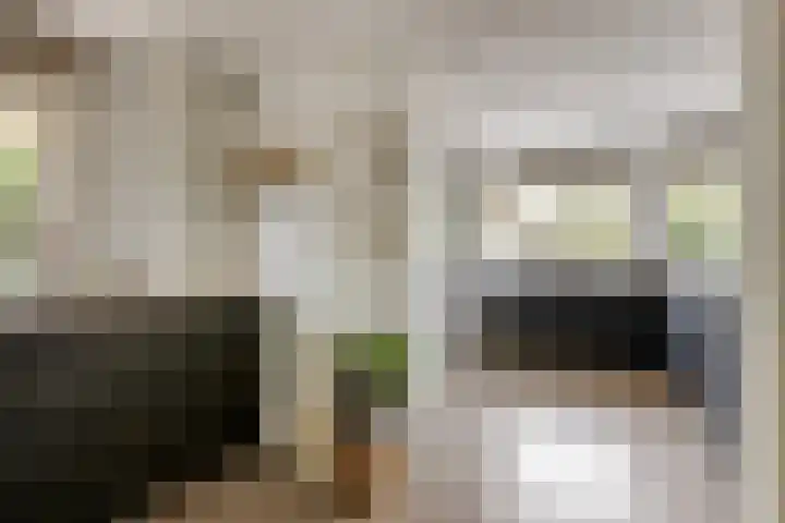 Mettrayweg 12 Zutphen thumbnail 18