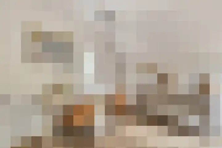 Mettrayweg 12 Zutphen thumbnail 25