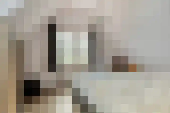 Mettrayweg 12 Zutphen thumbnail 26
