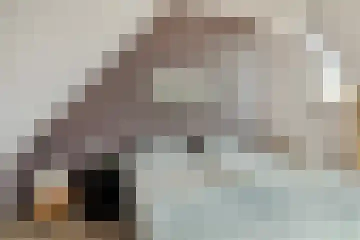 Mettrayweg 12 Zutphen thumbnail 27