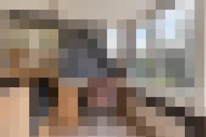 Mettrayweg 12 Zutphen thumbnail 28