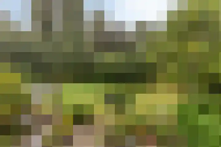 Mettrayweg 12 Zutphen thumbnail 29