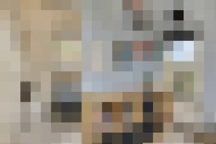 Mettrayweg 12 Zutphen thumbnail 32