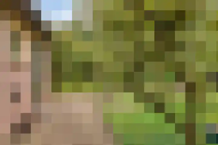 Mettrayweg 12 Zutphen thumbnail 38