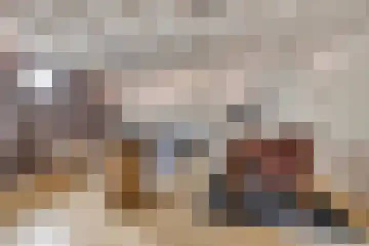 Mettrayweg 12 Zutphen thumbnail 40