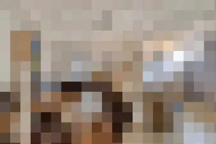 Mettrayweg 12 Zutphen thumbnail 42