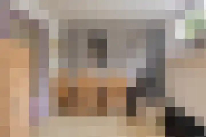 Mettrayweg 12 Zutphen thumbnail 44