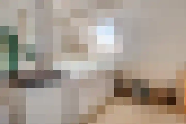 Mettrayweg 12 Zutphen thumbnail 48