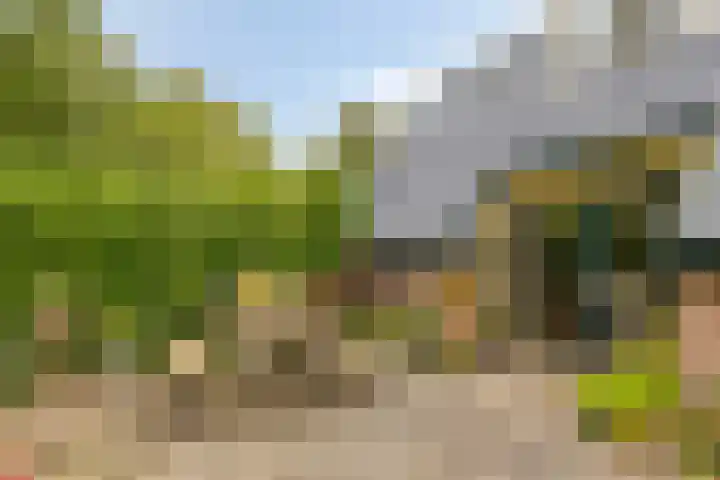Mettrayweg 12 Zutphen thumbnail 51