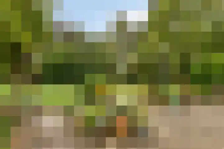 Mettrayweg 12 Zutphen thumbnail 52