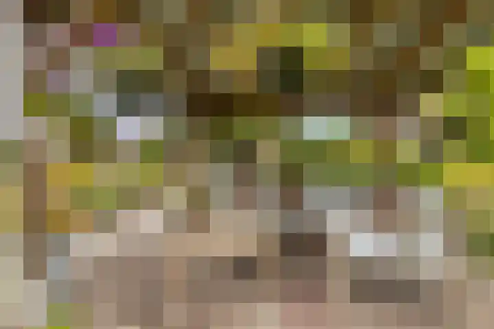 Mettrayweg 12 Zutphen thumbnail 54
