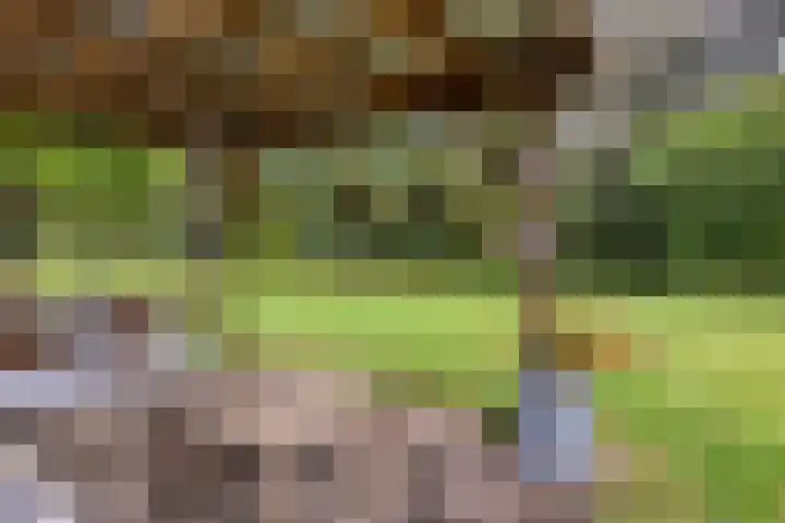 Mettrayweg 12 Zutphen thumbnail 55