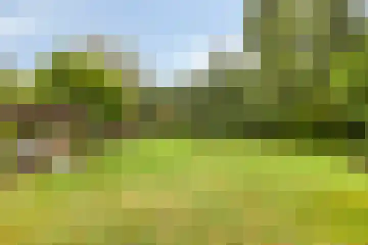 Mettrayweg 12 Zutphen thumbnail 56
