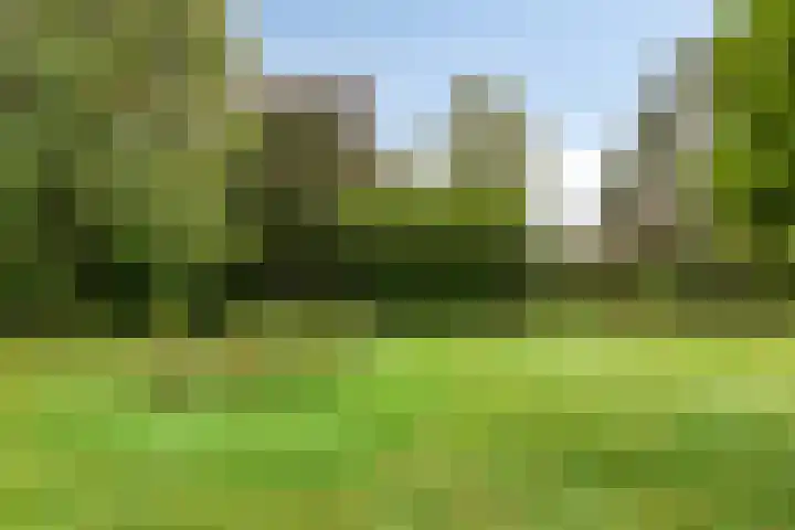 Mettrayweg 12 Zutphen thumbnail 57