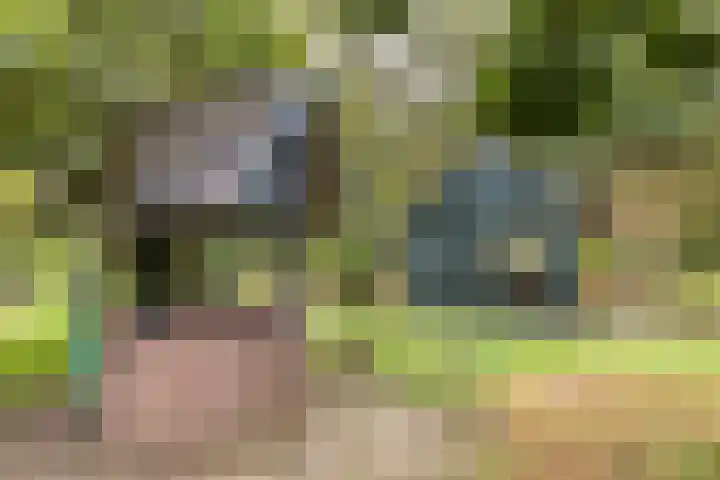 Mettrayweg 12 Zutphen thumbnail 58
