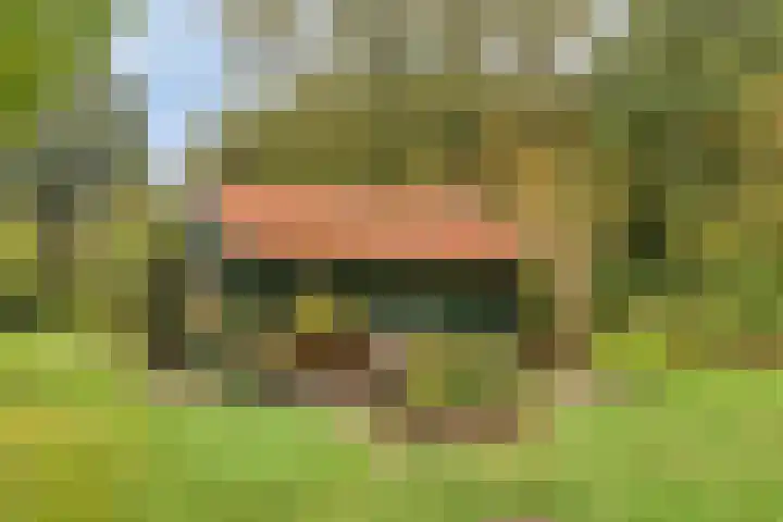 Mettrayweg 12 Zutphen thumbnail 59
