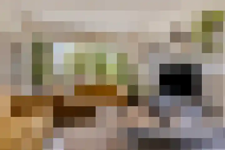 Mettrayweg 12 Zutphen thumbnail 6