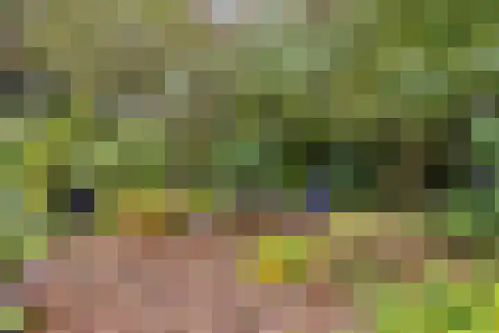 Mettrayweg 12 Zutphen thumbnail 62