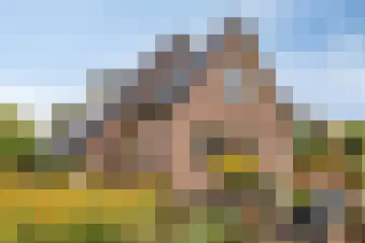 Mettrayweg 12 Zutphen thumbnail 63