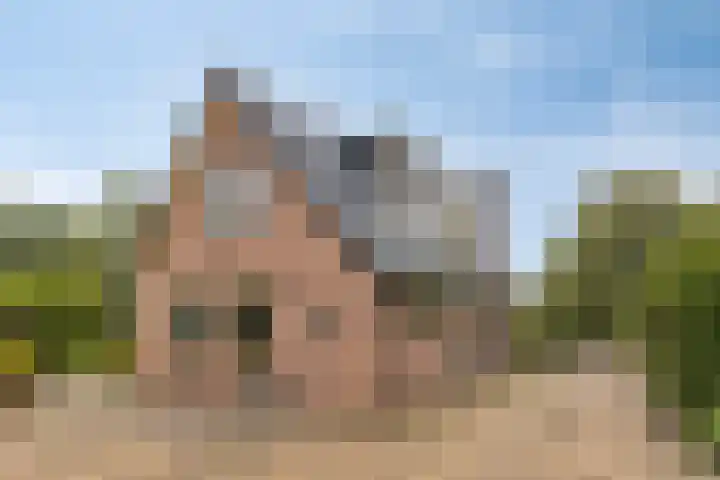Mettrayweg 12 Zutphen thumbnail 64