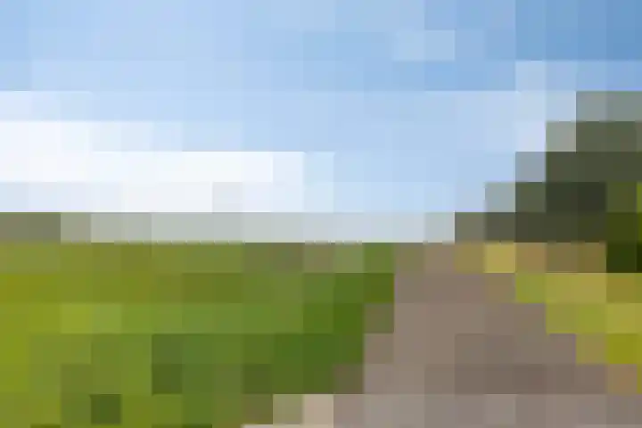 Mettrayweg 12 Zutphen thumbnail 67
