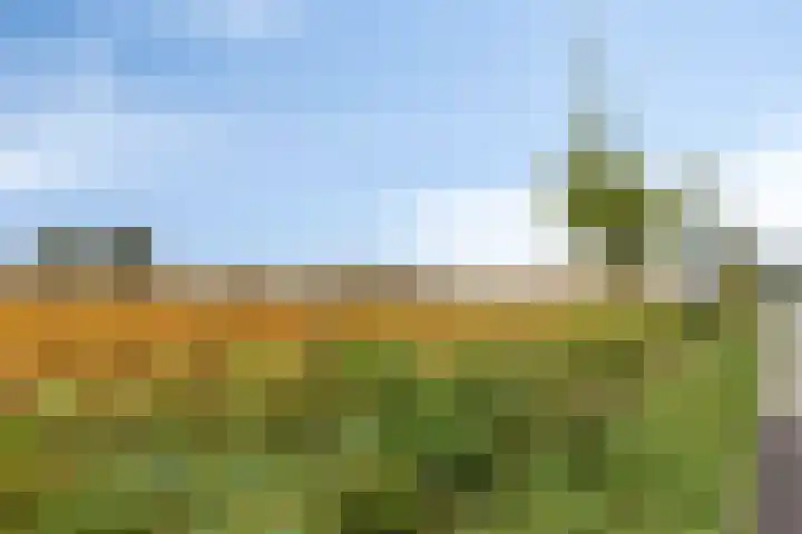 Mettrayweg 12 Zutphen thumbnail 68