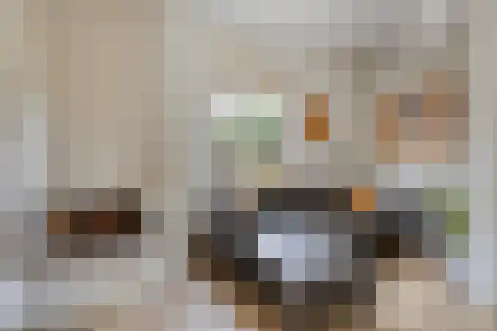 Mettrayweg 12 Zutphen thumbnail 8