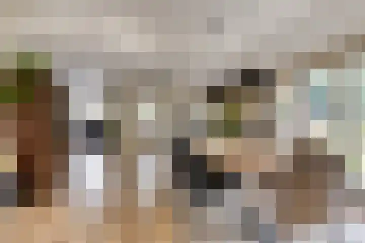 Mettrayweg 12 Zutphen thumbnail 9