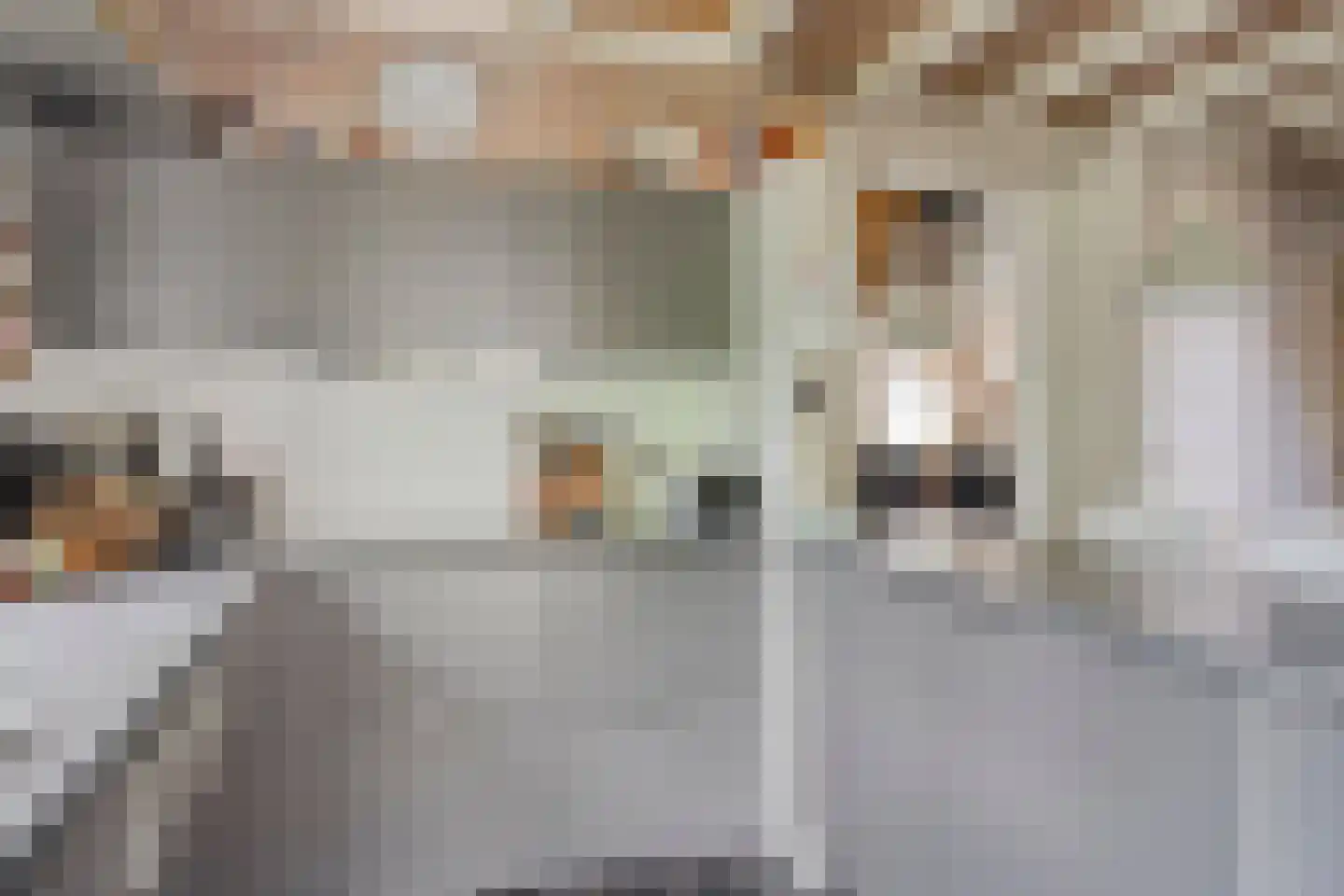 Mettrayweg 65 Eefde thumbnail 16