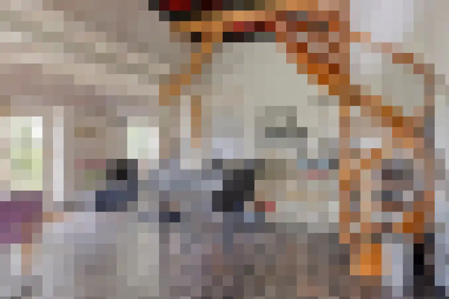 Mettrayweg 65 Eefde thumbnail 20