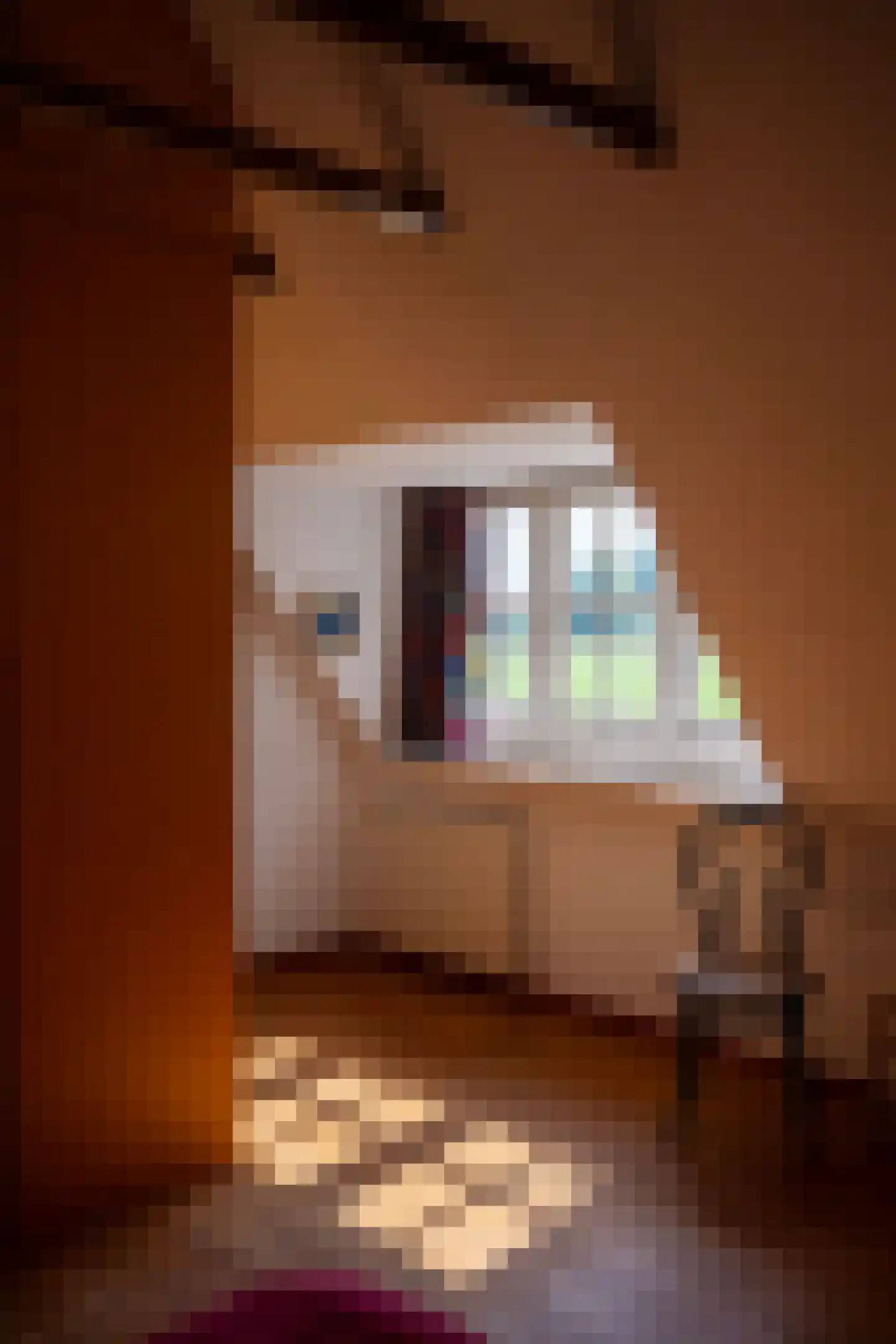 Mettrayweg 65 Eefde thumbnail 37