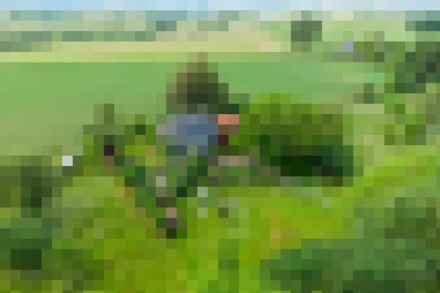 Mettrayweg 65 Eefde thumbnail 4