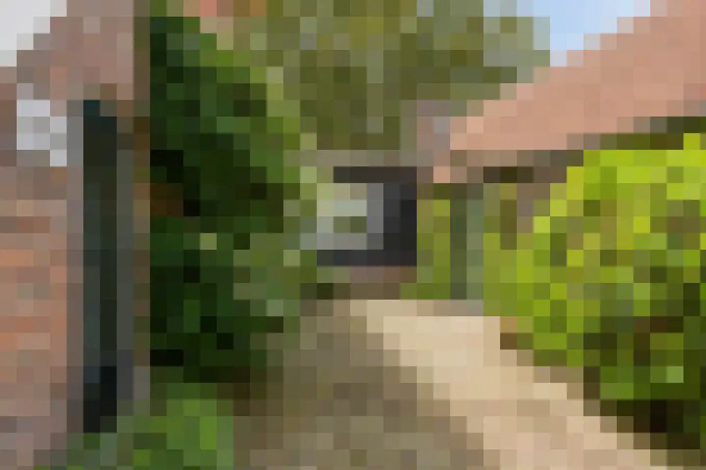 Mettrayweg 65 Eefde thumbnail 43