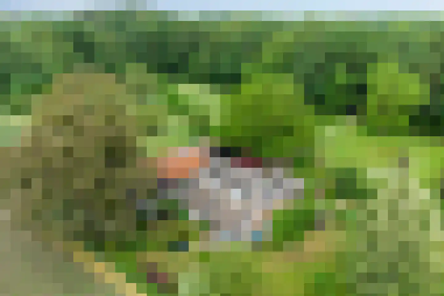 Mettrayweg 65 Eefde thumbnail 5