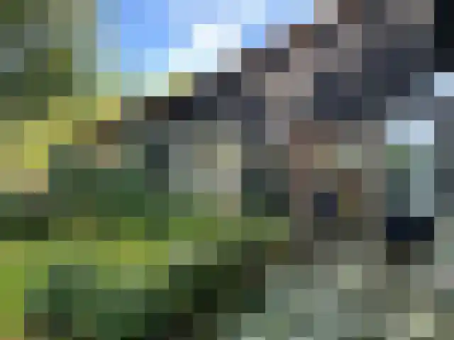Mettrayweg 65 Eefde thumbnail 54
