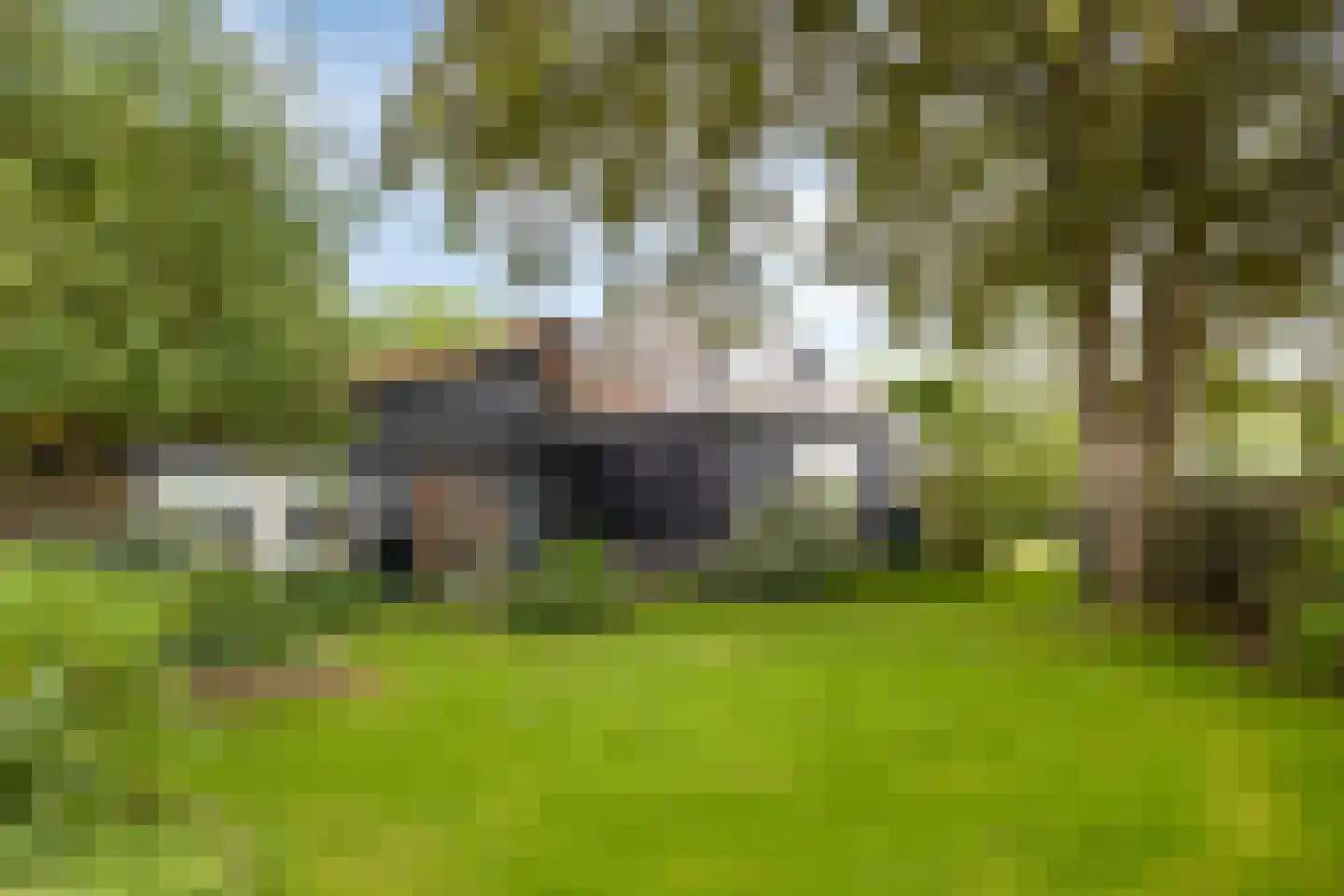 Mettrayweg 65 Eefde thumbnail 55