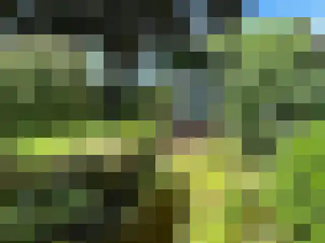 Mettrayweg 65 Eefde thumbnail 57