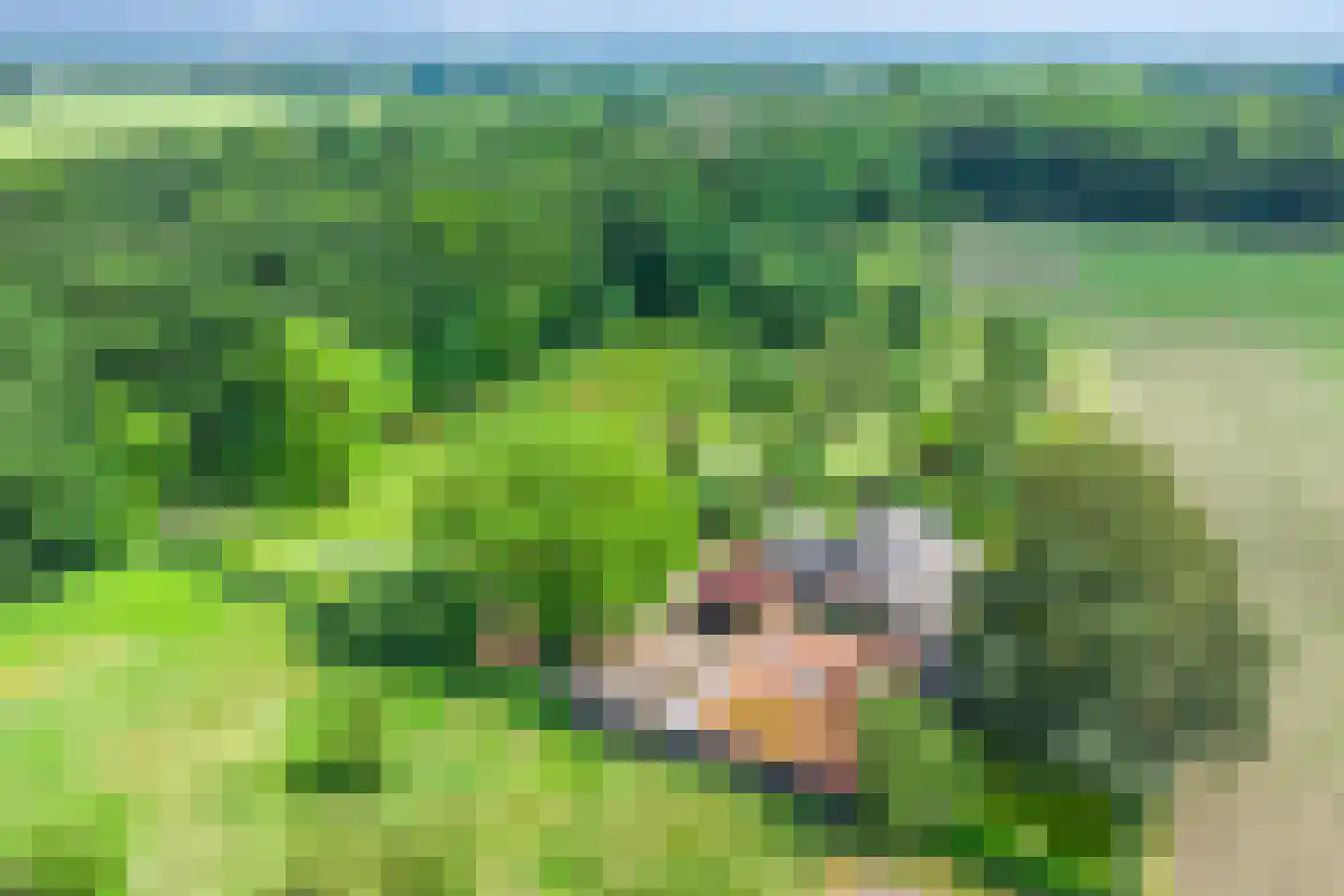 Mettrayweg 65 Eefde thumbnail 6