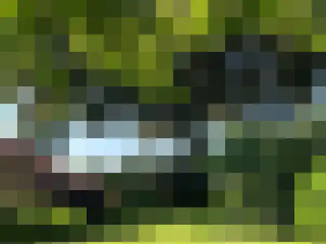 Mettrayweg 65 Eefde thumbnail 60